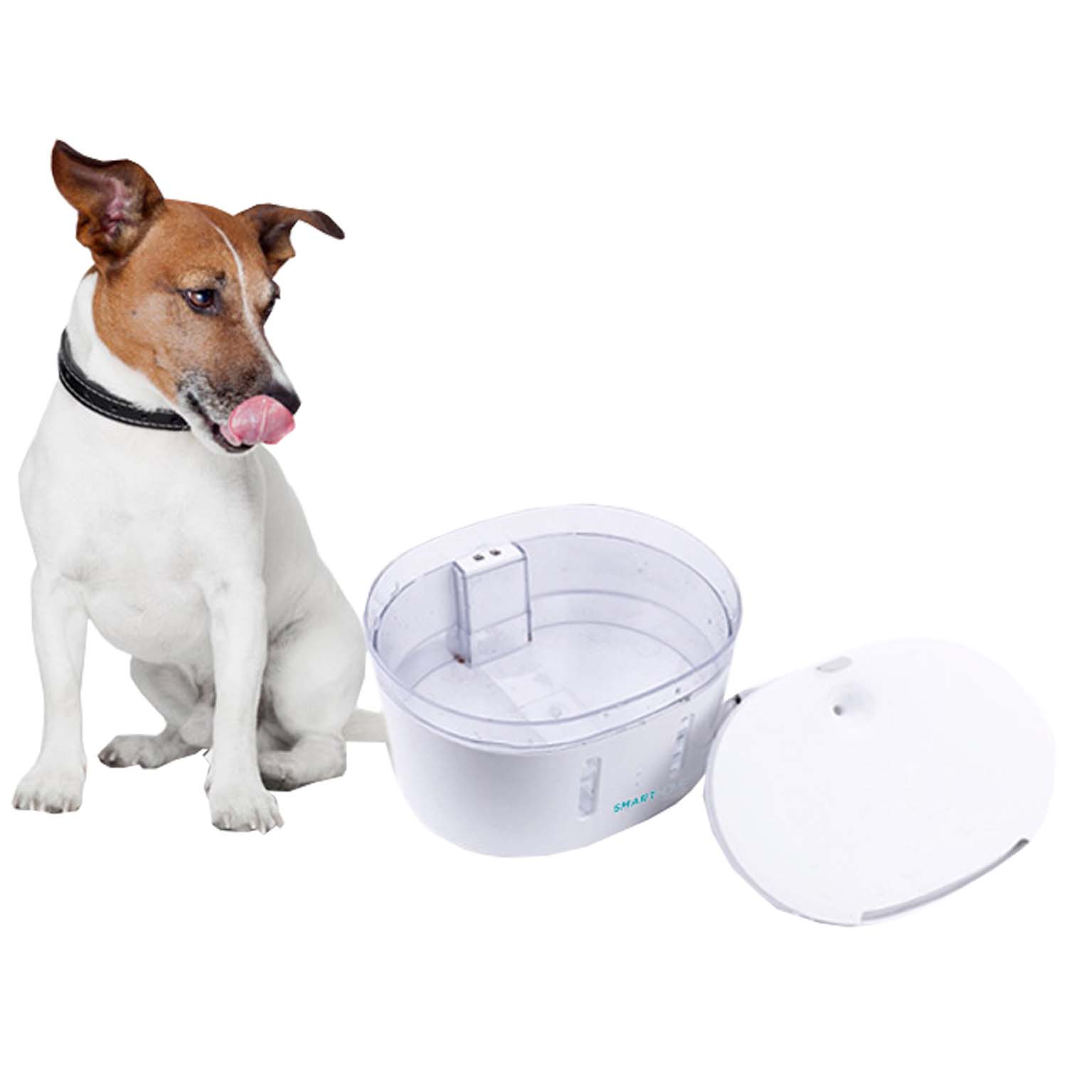 Alimentador de agua para mascotas con WIFI.